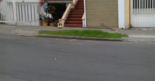 MERCATODO NUBIS MERCATODO NUBIS